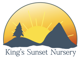 King's Sunset Nursery